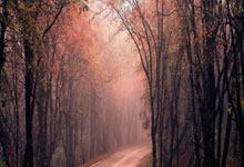 辉达娱乐官网:湖人惨遭热浪席卷 吞下本季最惨痛败仗.