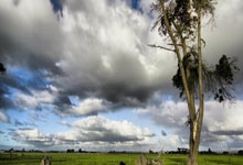 [中超]武磊“戴帽”当主角 海港赢球还领跑.