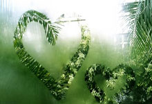 2国分5金！国羽4冠2亚大赢家，翁泓阳单局轰21-3，泰国男双复仇！.