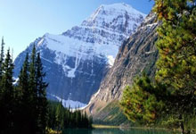 金塞拉:福法纳因伤缺战热刺,他将在未来几天接受评估.