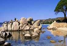 辉达娱乐官网:TA:在因伤下场后,阿方索还回到场边帮加拿大队主帅指挥球队.